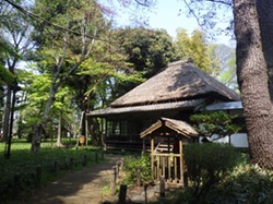 (HP250)蘆花恒春園①.jpg