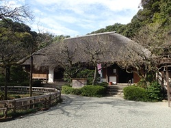 (HP250)酒井哲② .jpg