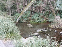 多摩の歴史と花めぐり 初夏の東久留米市内散策 多摩らいふ倶楽部