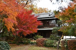 (HP250)鈴木先生10月.jpg